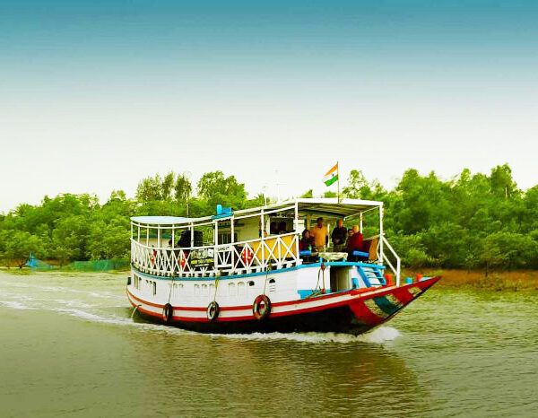 sundarban tour