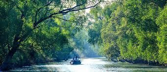 sundarban trip