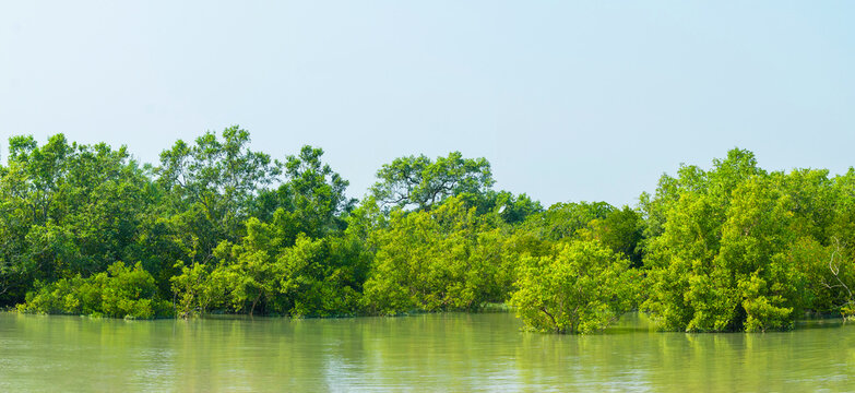 sundarban tour