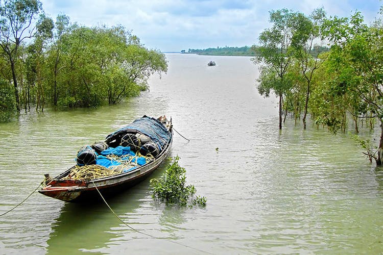 Sundarban Tourism