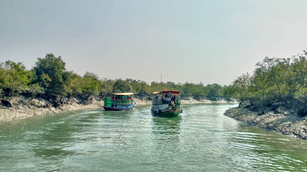 sundarban tour agency