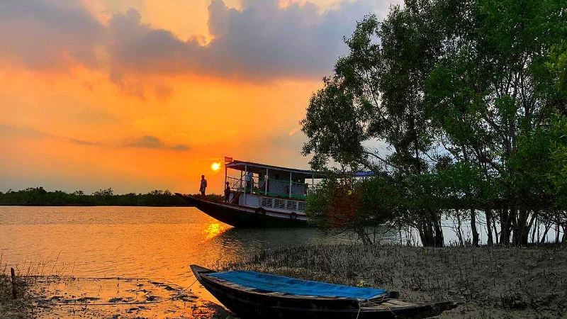 sundarban tour package